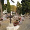Procédure de réhabilitation du cimetière Cimetière